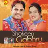 Shokeen Gabhru album lyrics, reviews, download
