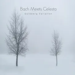 Goldberg Variation in G Major, Bwv 988: Variation 13. a 2 Clav. Song Lyrics