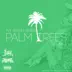 Palm Trees (feat. Allan i) mp3 download