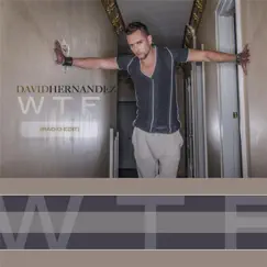 WTF (Radio Edit) - Single by David Hernández album reviews, ratings, credits
