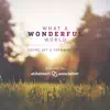 What a Wonderful World (feat. Fermata Town) - Single album lyrics, reviews, download