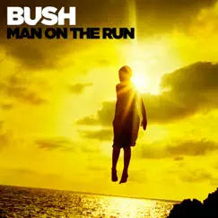Man On the Run by Bush album reviews, ratings, credits