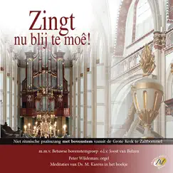 Zingt Nu Blij Te Moe by Betuwse bovenstemgroep, Joost van Belzen & Peter Wildeman album reviews, ratings, credits