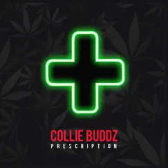 Prescription - Single by Collie Buddz album reviews, ratings, credits