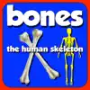 Bones: The Human Skeleton - Single album lyrics, reviews, download