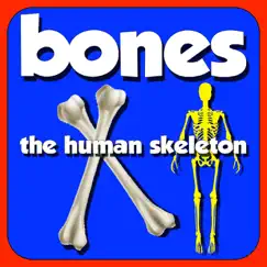 Bones: The Human Skeleton - Single by Mr. R. album reviews, ratings, credits