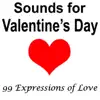 Sounds For Valentine's Day: 99 Expressions of Love album lyrics, reviews, download