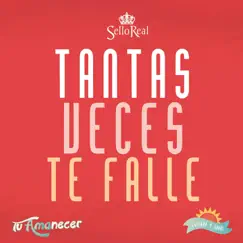 Tantas Veces Te Fallé Song Lyrics