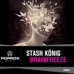 Brainfreeze - Single by N.I.G & Stash Konig album reviews, ratings, credits