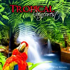Tropical Thunderstorm with Birds Song Lyrics