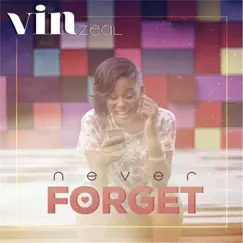 Never Forget - Single by Vin Zeal album reviews, ratings, credits