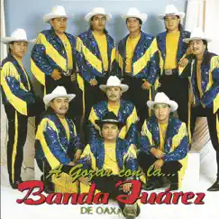 A Gozar con la Banda Juarez by Banda Juarez album reviews, ratings, credits