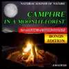 Campfire in a Moonlit Forest: Natural Sounds of Nature: Bonus Edition album lyrics, reviews, download