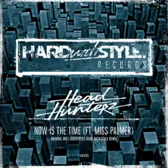 Now Is the Time (feat. Miss Palmer) [Audiofreq's HARD with STYLE Remix Edit] Song Lyrics