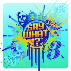 Say What!? by Us3 album reviews, ratings, credits