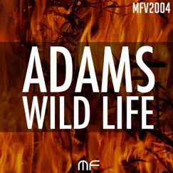 Wild Life - Single by Patrick Adams album reviews, ratings, credits