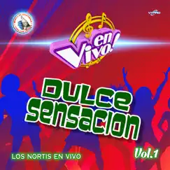 Mix de Cumbias: Doce Rosas / Tu (En Vivo) Song Lyrics
