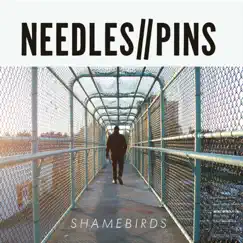Shamebirds by Needles//Pins album reviews, ratings, credits