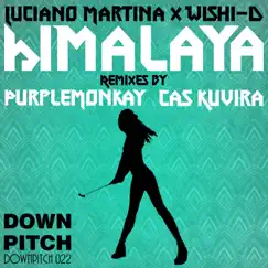 Himalaya (feat. Wishi-D) [Cas Kuvira Remix] Song Lyrics
