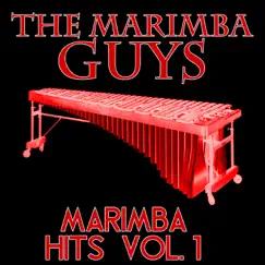 Trap Queen (Marimba Remix) Song Lyrics