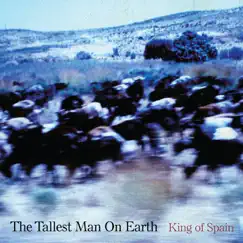 King of Spain - Single by The Tallest Man On Earth album reviews, ratings, credits