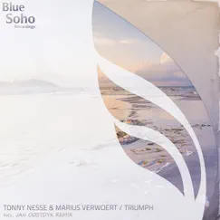 Triumph - Single by Tonny Nesse & Marius Verwoert album reviews, ratings, credits