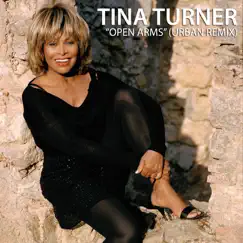 Open Arms (Urban Remix) - Single by Tina Turner album reviews, ratings, credits