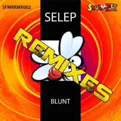 Blunt Remixes - Single by Selep album reviews, ratings, credits