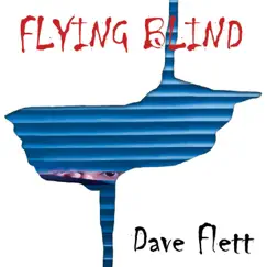 Flying Blind Song Lyrics