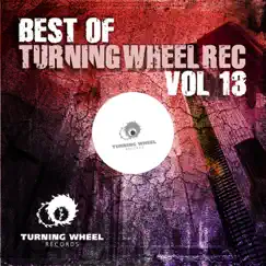Best of Turning Wheel Rec, Vol. 13 by Various Artists album reviews, ratings, credits