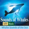 Sounds of Whales With Music: Whale Sounds of the Sea album lyrics, reviews, download