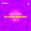 Sakala Devatha Gayatri Mantras, Vol. 4 album lyrics, reviews, download