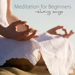 Meditation for Beginners Song Lyrics