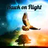 Hawk on Flight (feat. Lars Jansson, Ulf Wakenius, Matz Nilsson & Raymond Karlsson) album lyrics, reviews, download