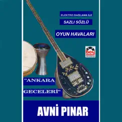 Ankara Geceleri (Elektro Bağlama İle Sazlı Sözlü Oyun Havaları) by Avni Pınar album reviews, ratings, credits