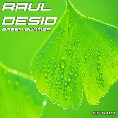 Green Summer - Single by Raul Desid album reviews, ratings, credits