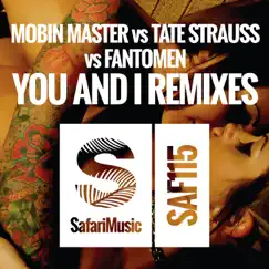 You and I (Stanton Warriors Remix) Song Lyrics