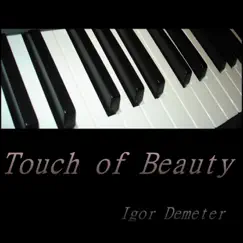 Touch of Beauty Song Lyrics