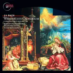 Christmas Oratorio, BWV 248, Pt. II: Sinfonia Song Lyrics