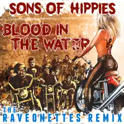 Blood in the Water (The Raveonettes Remix) Song Lyrics