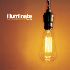 Illuminate by David Crowder Band album reviews, ratings, credits
