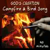 Campfire and Bird Song (90 Minutes) album lyrics, reviews, download