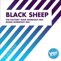 Black Sheep (Radio Workout Mix) Song Lyrics