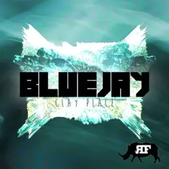Clay Place - Single by Bluejay album reviews, ratings, credits