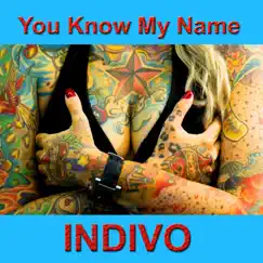 You Know My Name - Single by Indivo album reviews, ratings, credits