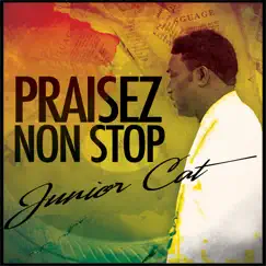 Praisez Non Stop - Single by Junior Cat album reviews, ratings, credits