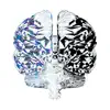 Dual-Brained¹ - EP album lyrics, reviews, download