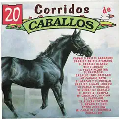 20 Corridos de Caballos by Valente Pastor album reviews, ratings, credits