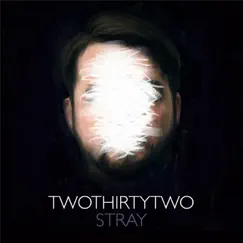 Stray - Single by Twothirtytwo album reviews, ratings, credits