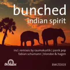 Indian Spirit (Remixes) by Bunched album reviews, ratings, credits